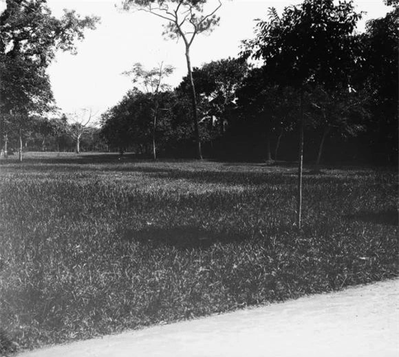 Diện tích vườn còn trên 10 ha, nằm trong địa phận phường Ngọc Hà, quận Ba Đình.