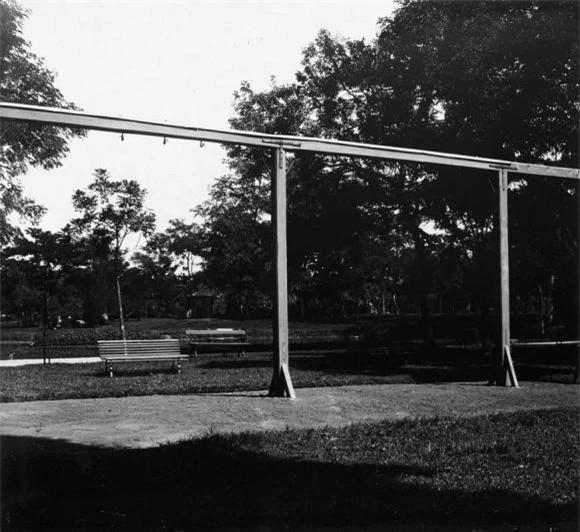 Trải qua nhiều thập niên, vườn Bách Thảo dần dần thu hẹp do quá trình đô thị hóa.