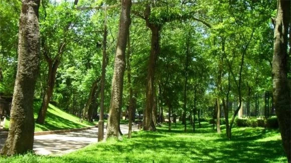 br/> Trải qua hơn 130 năm Công viên Bách Thảo đến nay vẫn giữ nguyên sứ mệnh trở thành địa chỉ bảo tồn các nguồn thực vật quý của đất nước, không chỉ vậy đây còn là điểm đến, điểm tham quan được không chỉ người dân Hà Nội mà cả du khách nơi khác ghé thăm khi tới du lịch thủ đô.