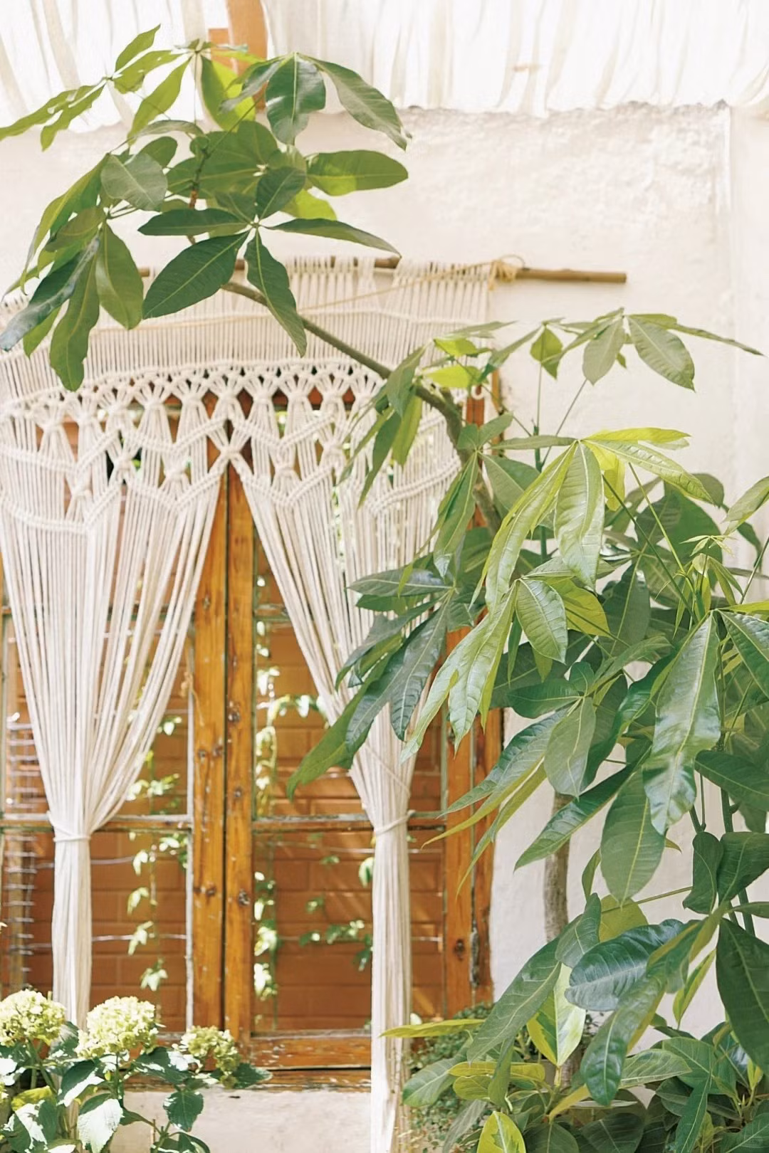 2. Ý nghĩa phong thủy. Theo nguyên tắc của phong thủy, cây cảnh kim ngân là một trong những loại cây mang lại may mắn và tài lộc. Loại cây này cũng được coi là biểu tượng của sự giàu có và thịnh vượng. 