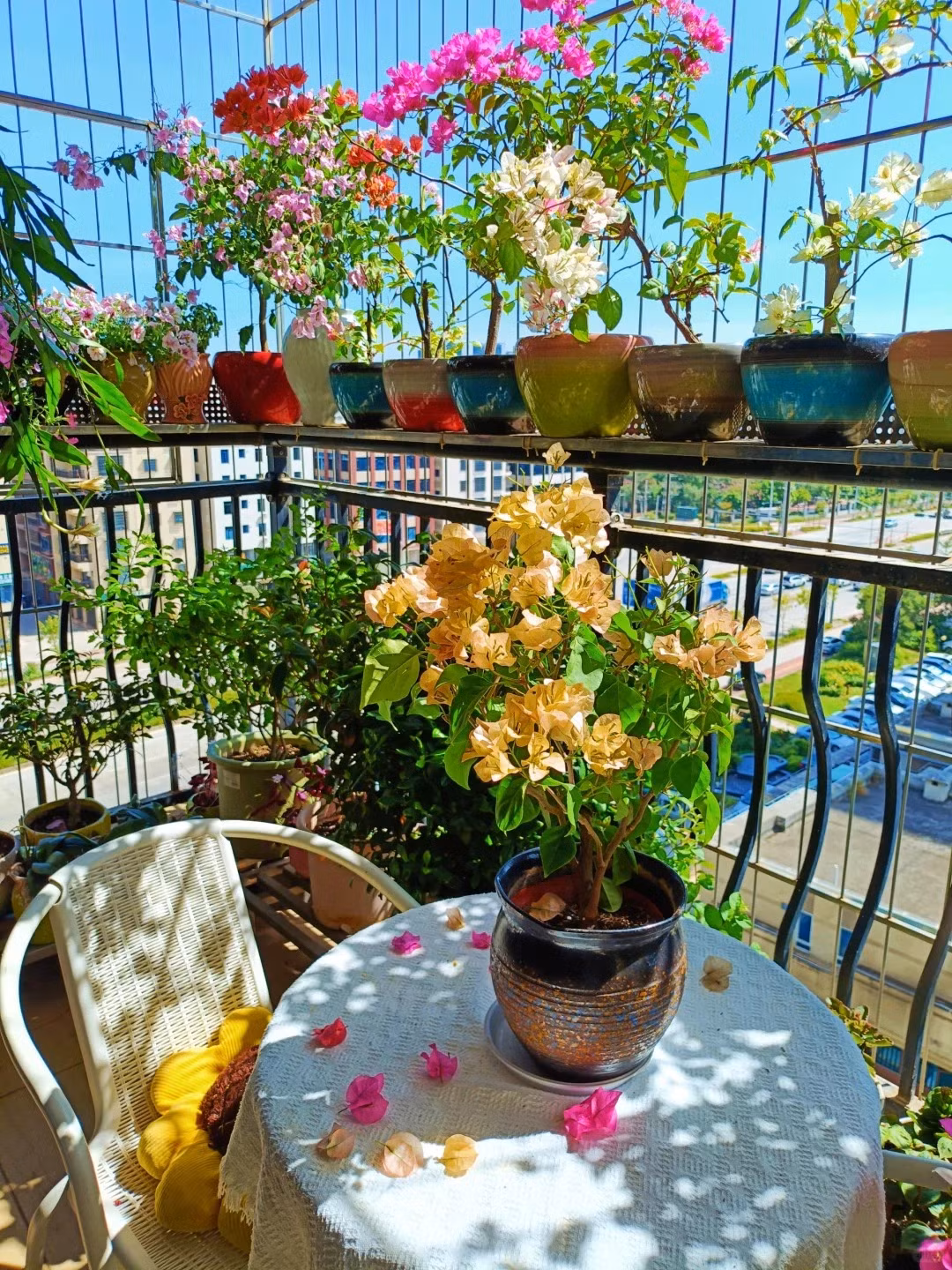 4 thu tuyet doi khong duoc dat o ban cong, can tro tai loc-Hinh-2