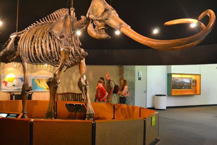 Không chỉ có ý nghĩa quan trọng với nghiên cứu địa chất và khai khoáng, hồ nhựa đường Pitch còn là đối tượng nghiên cứu ưa thích của nhà tự nhiên học và cổ sinh vật học, bởi dưới hàng lớp nhựa đường đặc dính là những dấu vết của đời sống tiền sử.