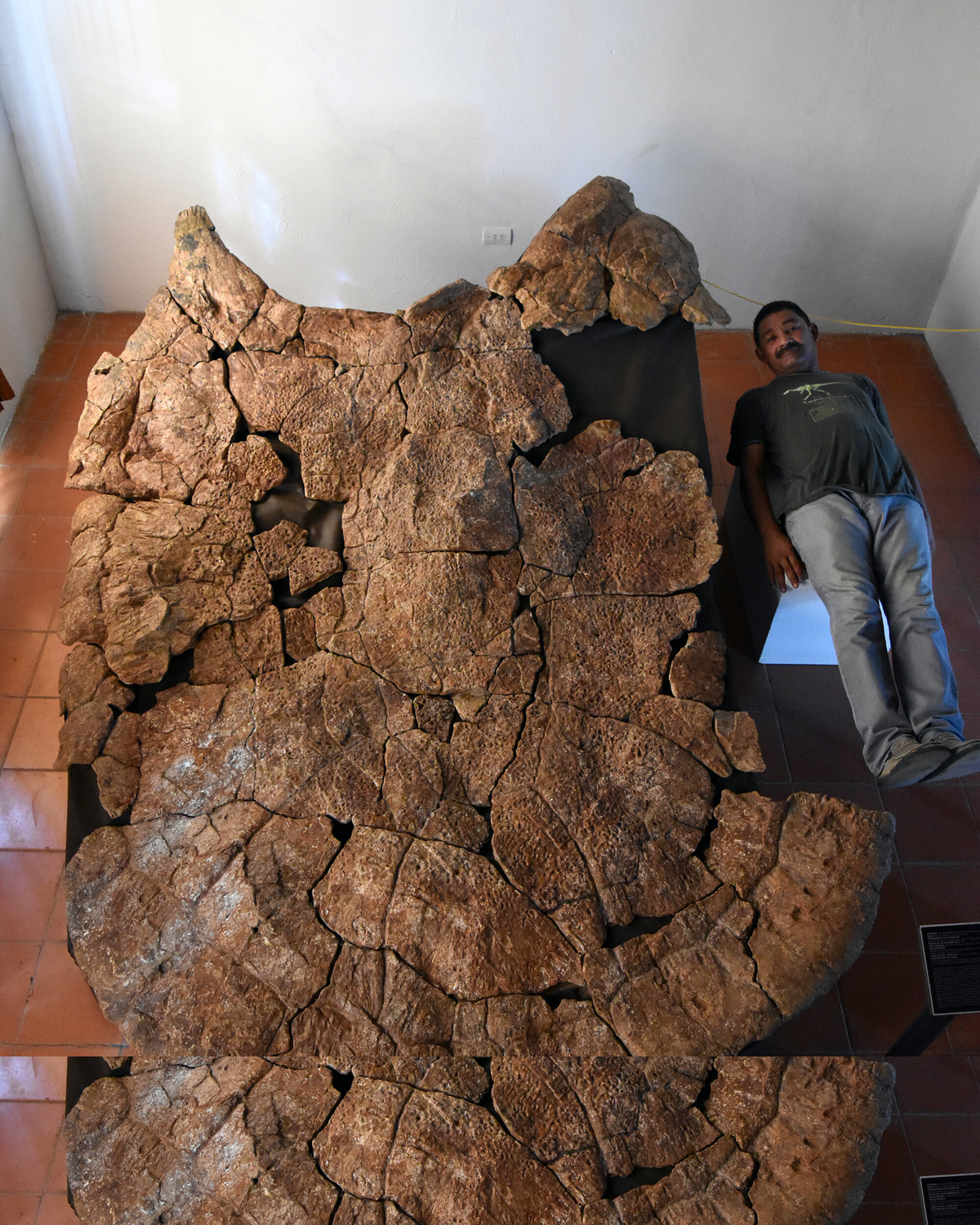 'Thủy quái' trong Tây Du Ký có thật, từng tồn tại ngoài đời - Hình 3 'Thuy quai' trong Tay Du Ky co that, tung ton tai ngoai doi-Hinh-3