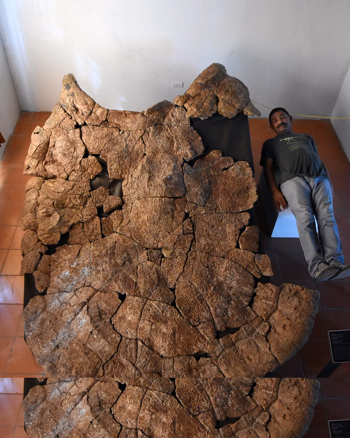 'Thuy quai' trong Tay Du Ky co that, tung ton tai ngoai doi-Hinh-3