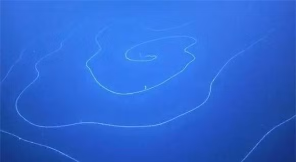  Kết quả này ngay lập tức khơi dậy sự quan tâm của các nhà khoa học. Các chuyên gia ngẫu nhiên đã thực hiện phục hồi 1:1 dựa trên dữ liệu được trả về và kết quả là họ đã có một khám phá đáng kinh ngạc.