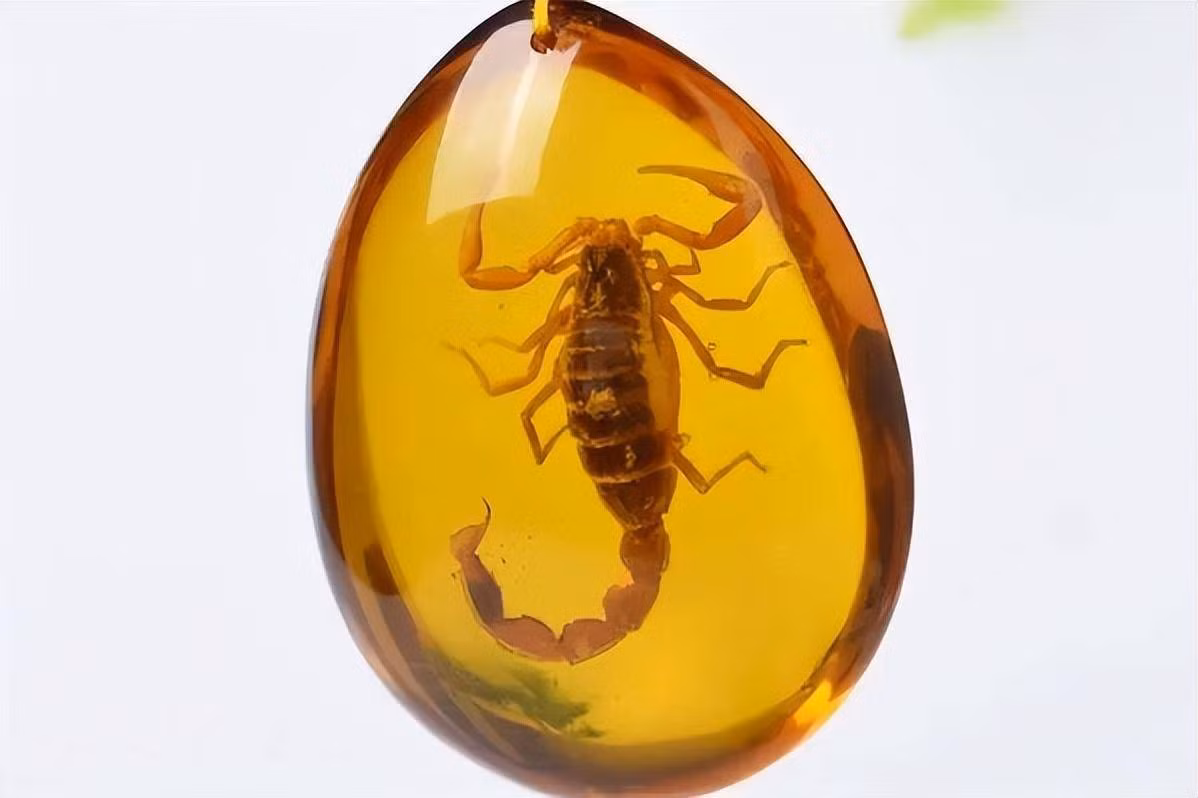 Vì sao hổ phách có thể 'đóng băng' cả thời gian? - Hình 2 Vi sao ho phach co the 'dong bang' ca thoi gian?-Hinh-2