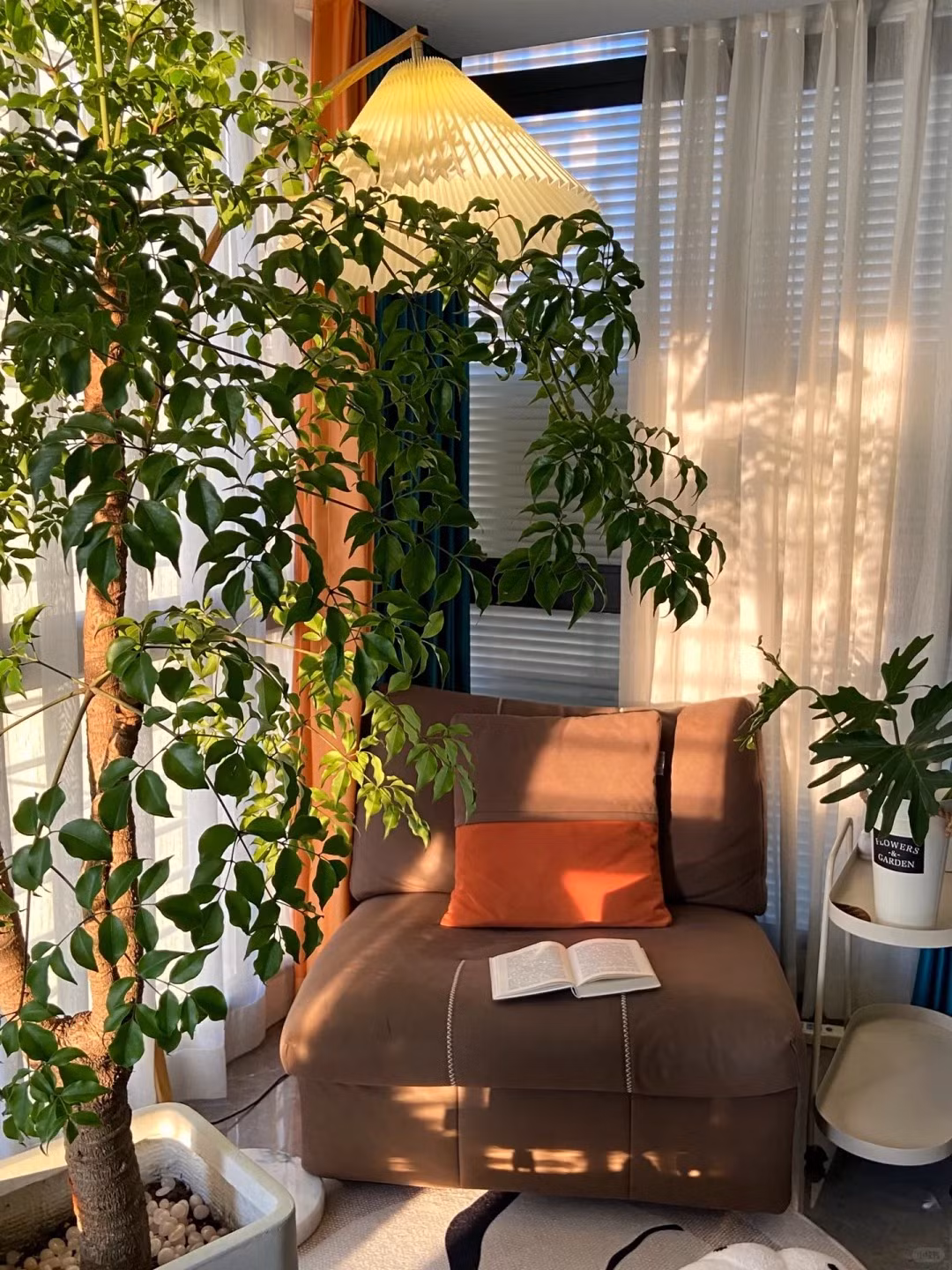 Đặc điểm của cây cảnh hạnh phúc. Cây cảnh hạnh phúc có tên khoa học là Radermachera sinica. Nó có tên gọi tiếng Anh rất thú vị China doll plant (búp bê Trung Quốc). Điều này có lẽ do nguồn gốc từ Trung Quốc của cây cảnh này. Ảnh minh họa Toutiao 