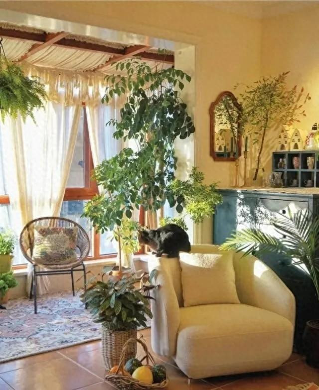 Cây cảnh có thể mang lại sự xanh tươi, tràn đầy sức sống cho bất cứ không gian nào. Nhìn thấy một cây cảnh hạnh phúc trong nhà sẽ mang lại miền đất thanh tịnh, nơi chúng ta có thể nghỉ ngơi, thư giãn cơ thể và tâm trí mệt mỏi. Ảnh minh họa Toutiao 