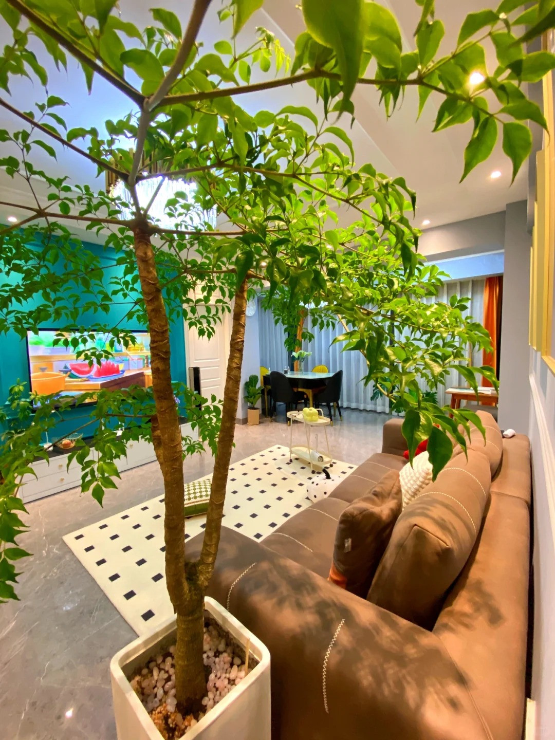 Dưới ánh nắng, những chiếc lá khúc xạ, óng ánh và đẹp đẽ, giống như những ngôi sao nhỏ, thanh tao và đẹp đẽ đến mức bạn không thể rời mắt. Khi ở trong bầu không khí như thế này, bạn có đột nhiên cảm thấy tươi sáng hơn, tâm trạng được cải thiện và không khỏi mỉm cười? 