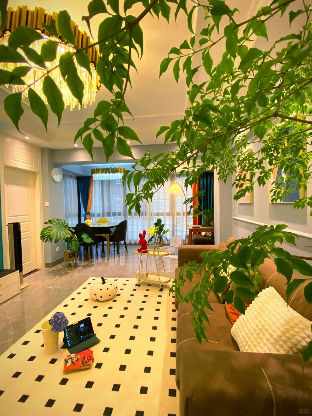  Cây cảnh này có ý nghĩa phong thủy là giúp gia đình hòa thuận, hạnh phúc, tài lộc ngày càng vượng. Vì khi gia đình hòa thuận thì chúng ta gặp được may mắn, yên tổn mà kiếm tiền, giúp công việc phát đạt, lộc lá dồi dào. Gia đình lục đục, đau đầu thì khó mà minh mẫn để làm ăn. Ảnh minh họa Toutiao 