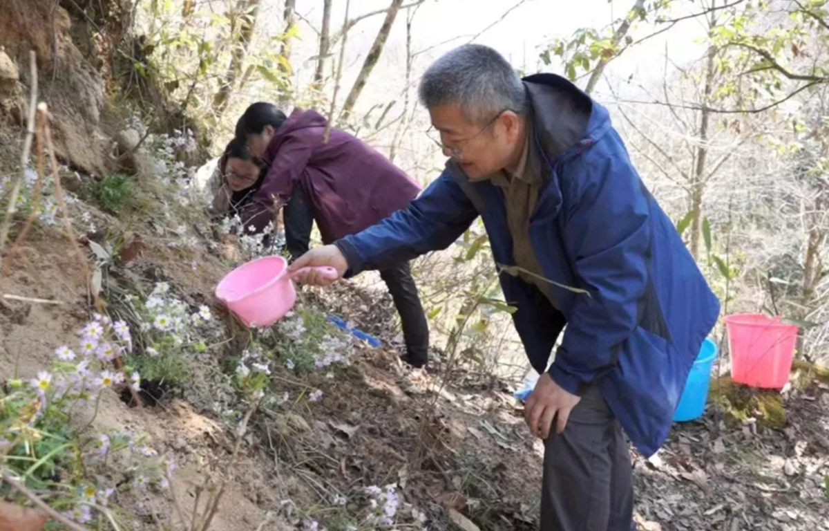 Loài hoa quý hiếm tái xuất sau hơn 100 năm tuyệt chủng - Hình 3 Loai hoa quy hiem tai xuat sau hon 100 nam tuyet chung-Hinh-3