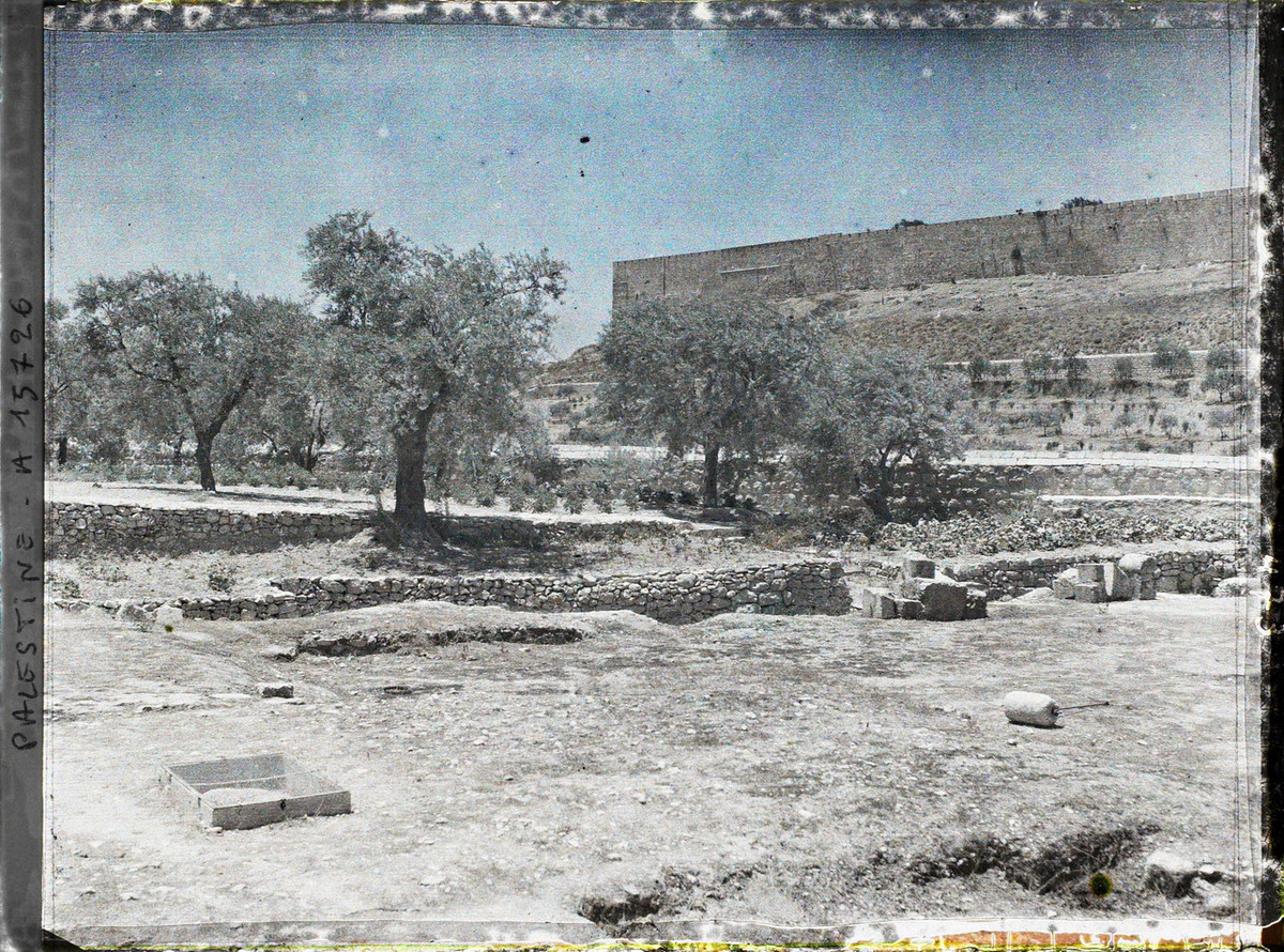 Vườn Gethsemani dưới chân Núi Ô-liu, nơi Chúa jesus bị bắt và chịu khổ hình.