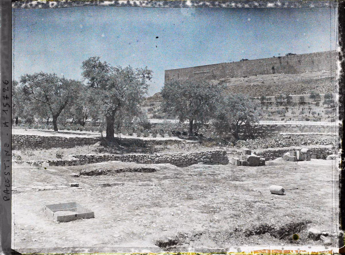 Vườn Gethsemani dưới chân Núi Ô-liu, nơi Chúa jesus bị bắt và chịu khổ hình.