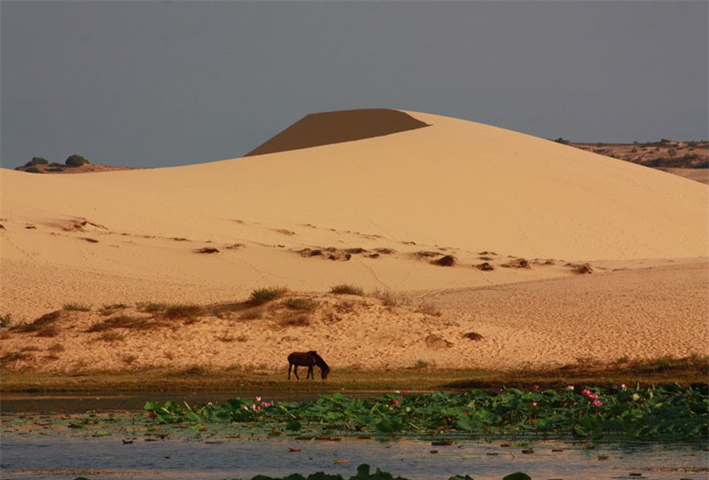 Hồ lớn này từ đó bị chia thành 2 phần: tiểu hồ và đại hồ. Do “Bàu” trong tiếng địa phương nghĩa là “hồ” nên từ rất lâu, người địa phương đã gọi là tiểu hồ là Bàu. Ảnh: Dulichvietnam360.