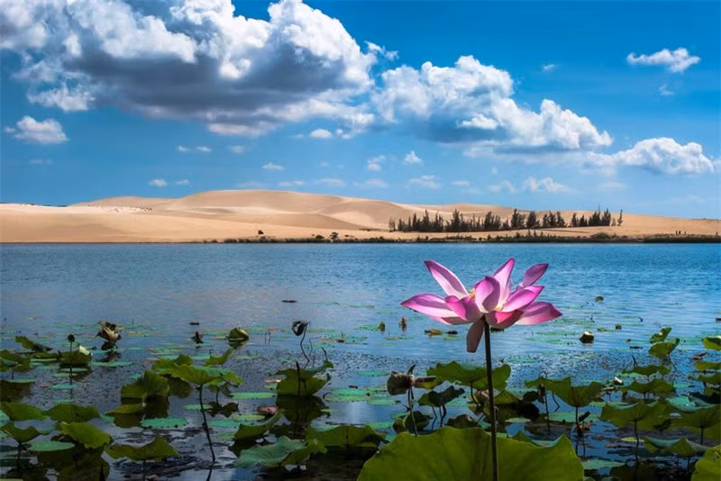 Nếu như Mũi Né nhộn nhịp với nhiều resort và các bãi tắm đẹp thì trái lại Bàu Trắng còn rất hoang sơ và chưa được khai thác. Ảnh: Dr. Duc Thinh.