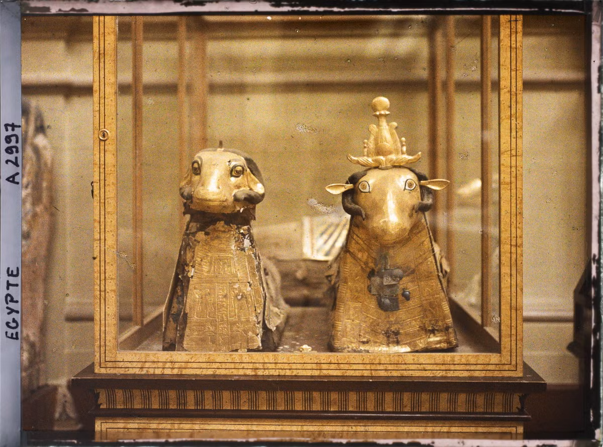 Tượng cừu tìm được trên đảo Elephantine, một cù lao nằm trên sông Nil.