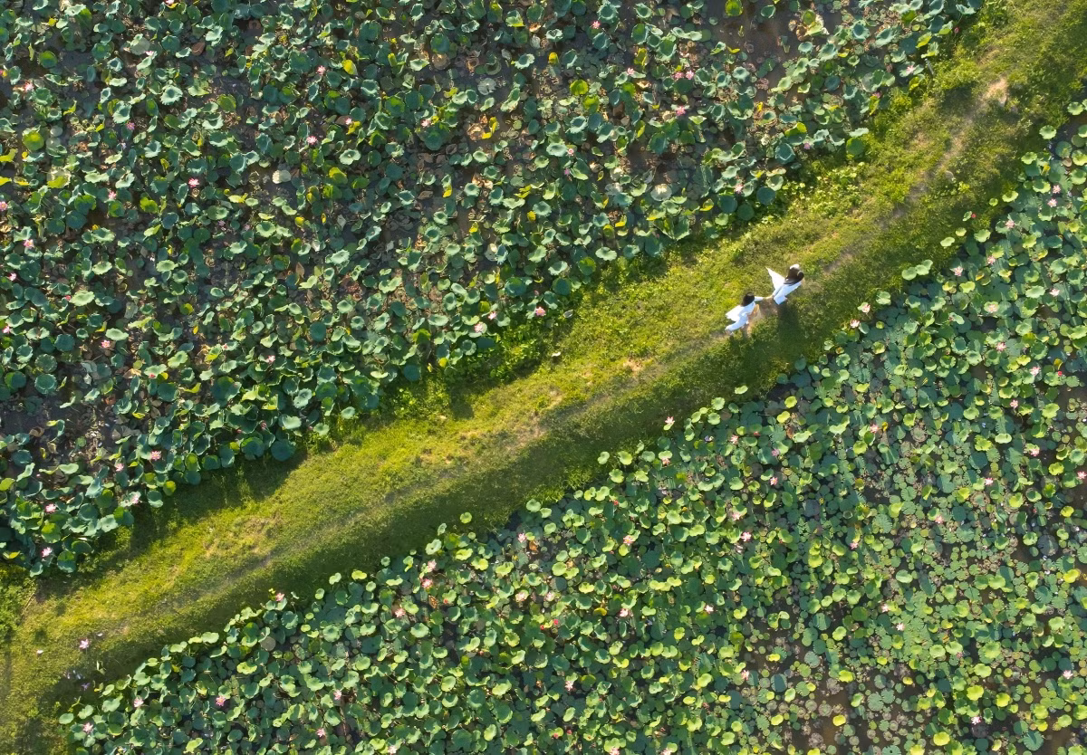 Cánh đồng sen bạt ngàn nên khi các bạn đến đây thì chọn cho mình một góc để check-in.
