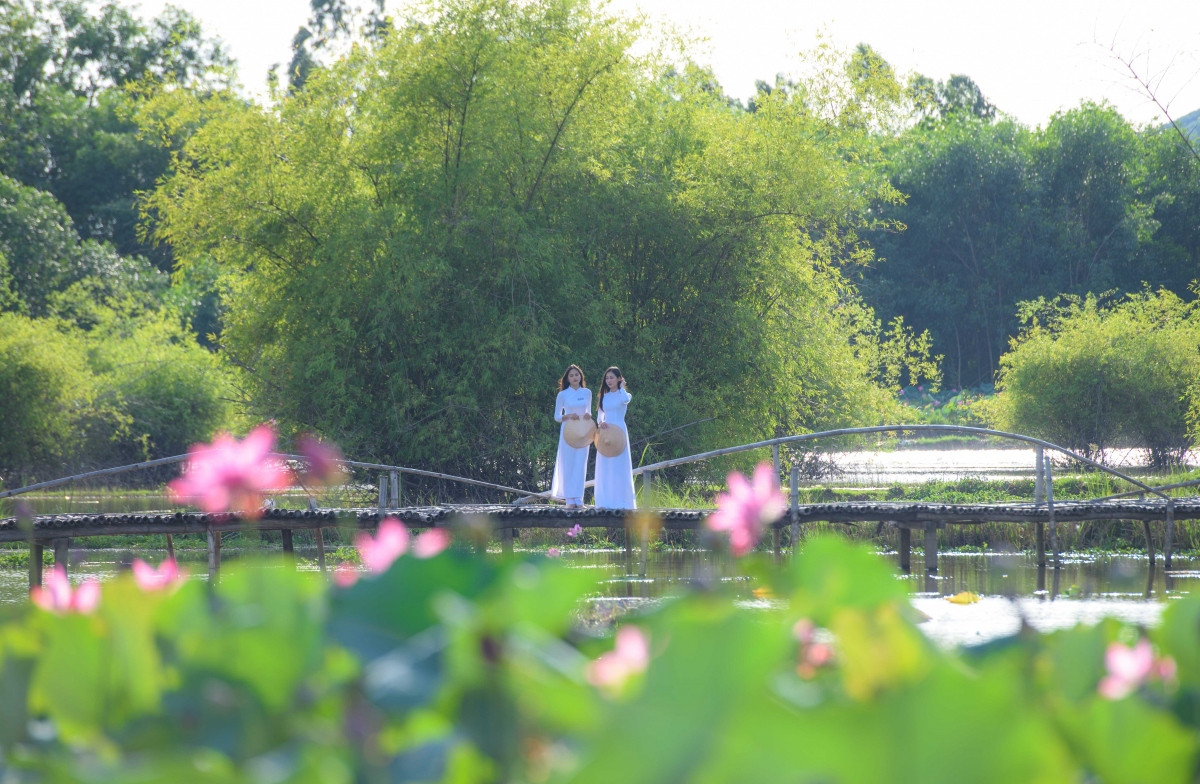 Một không gian với sự hoà quyện giữa hồ nước, cây xanh và đầm sen tạo nên bức tranh thiên nhiên tuyệt vời thu hút mọi người đến đây