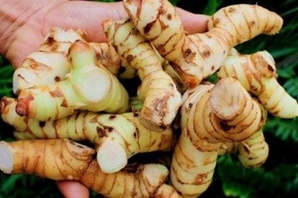 2 loai cu la “khac tinh” cua ung thu, la “than duoc” tri da day