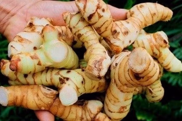 2 loai cu la “khac tinh” cua ung thu, la “than duoc” tri da day