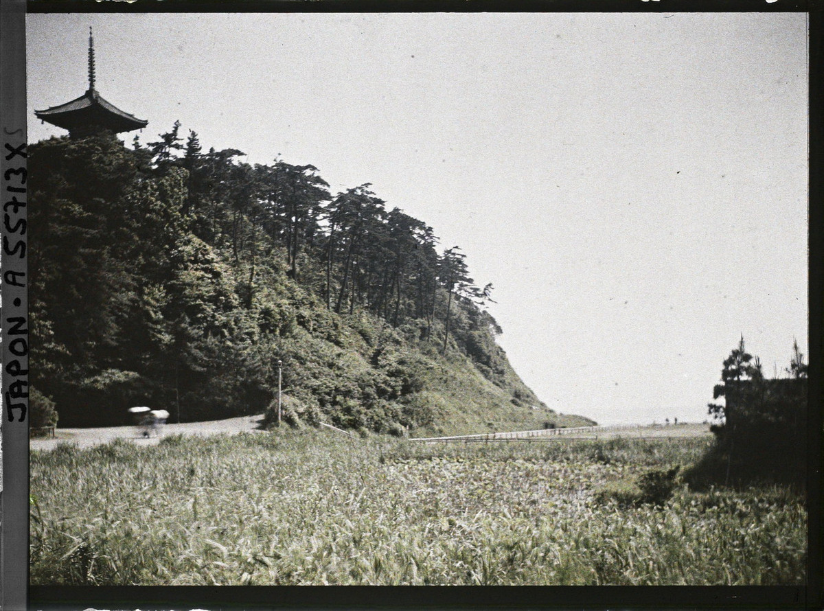 Khung cảnh ở vườn Sankei-en (Tam Khê Viên), khu vườn theo phong cách Nhật Bản truyền thống mở cửa từ năm 1906 ở phường Naka, Yokohama.