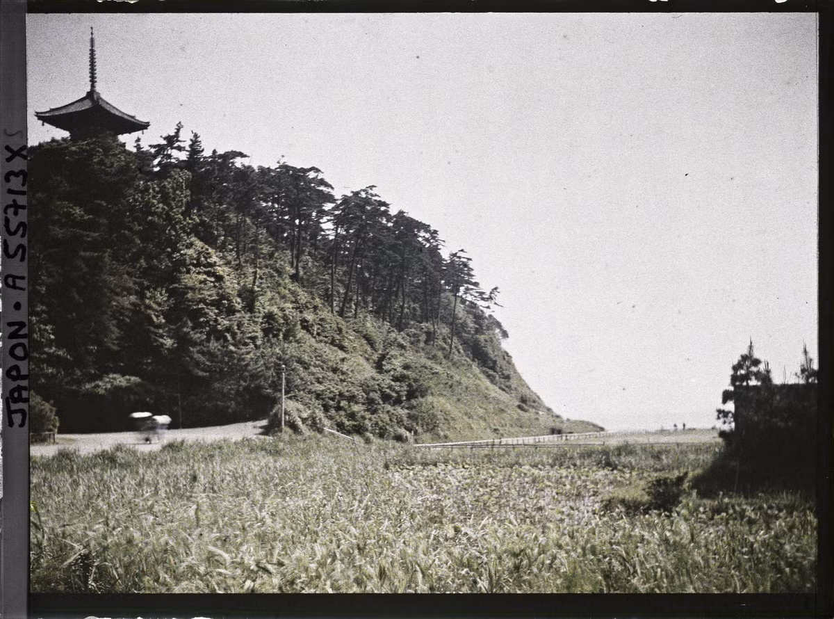 Khung cảnh ở vườn Sankei-en (Tam Khê Viên), khu vườn theo phong cách Nhật Bản truyền thống mở cửa từ năm 1906 ở phường Naka, Yokohama.