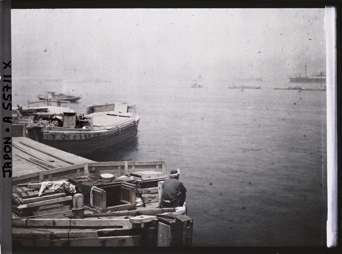 Bến cá ở khu vực cảng Yokohama.