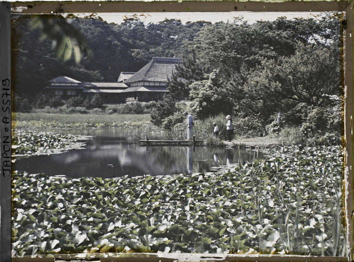 Hồ sen trong vườn Sankei-en.