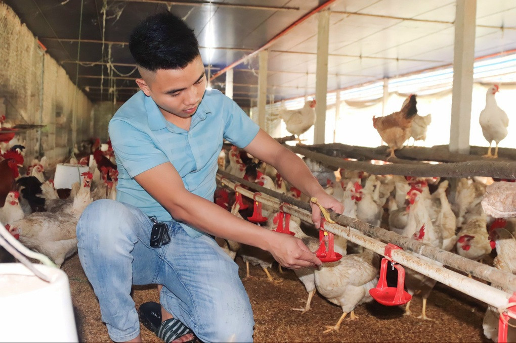 Hành trình từ tay trắng đến chủ trang trại tiền tỷ của chàng trai trẻ Hanh trinh tu tay trang den chu trang trai tien ty cua chang trai tre