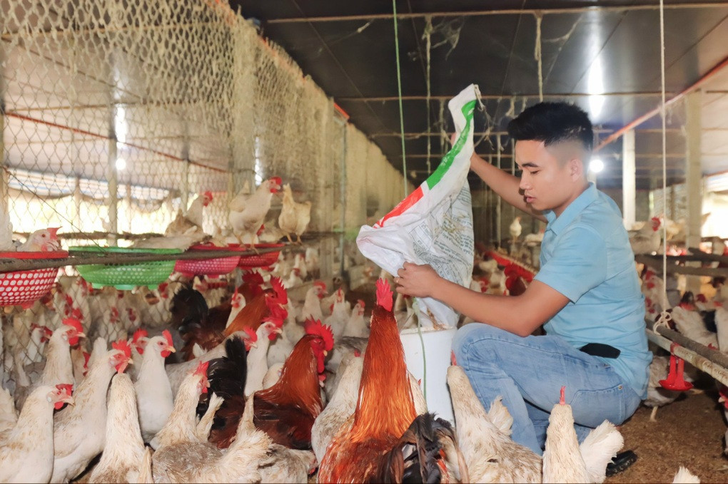 Hành trình từ tay trắng đến chủ trang trại tiền tỷ của chàng trai trẻ - Hình 3 Hanh trinh tu tay trang den chu trang trai tien ty cua chang trai tre-Hinh-3