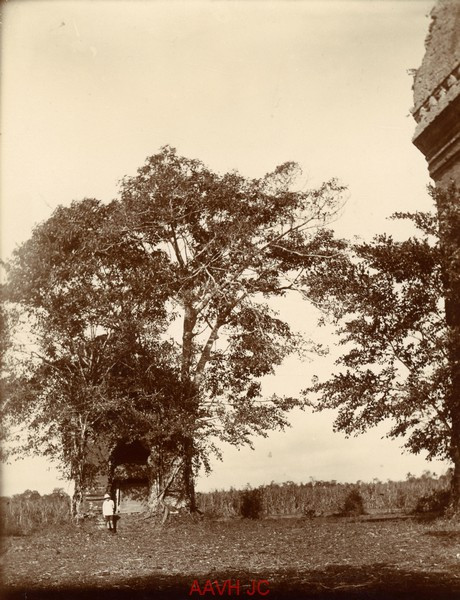 Tháp Chăm Bằng An ở Quảng Nam năm 1926.