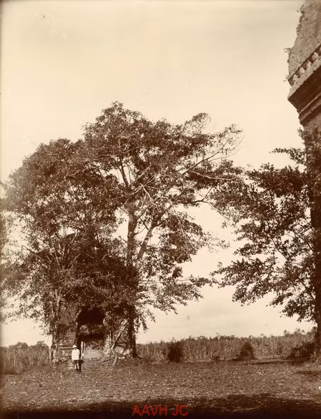 Tháp Chăm Bằng An ở Quảng Nam năm 1926.