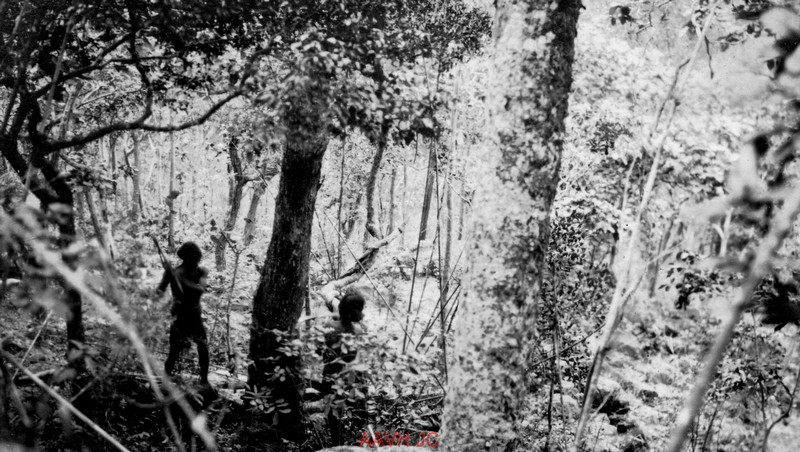 Người Thượng săn thú trong rừng.