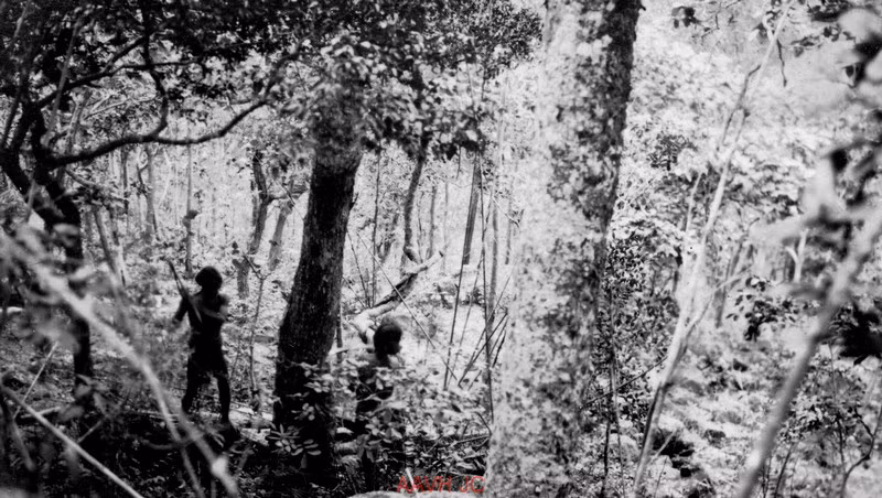 Người Thượng săn thú trong rừng.