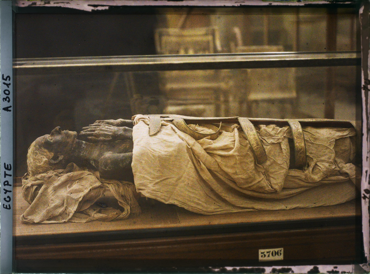 Một xác ướp được trưng bày trong tủ kính.