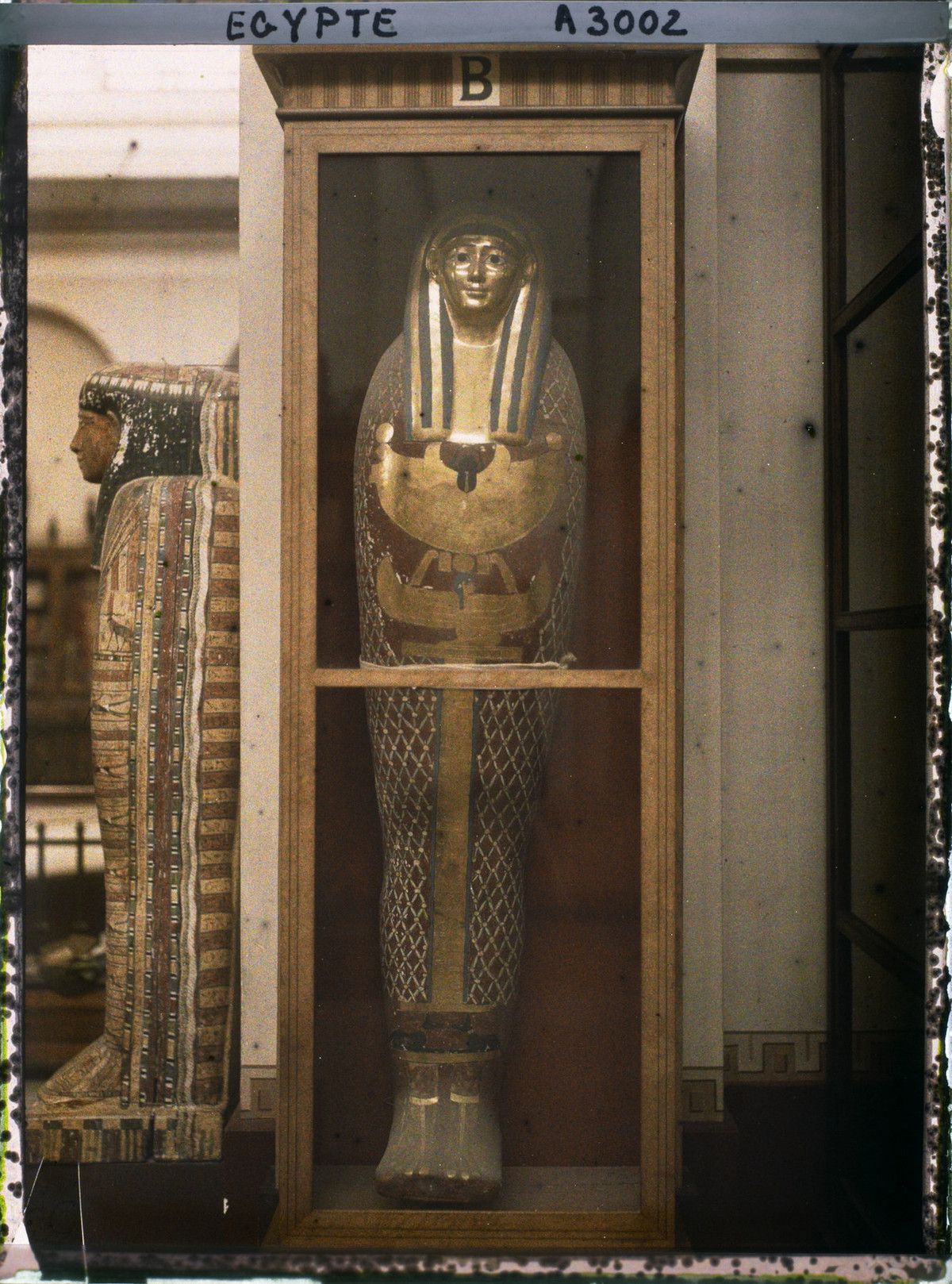 Một cỗ quan tài được bày trong tủ kính.