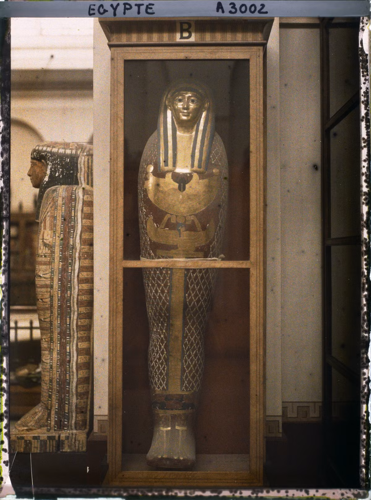 Một cỗ quan tài được bày trong tủ kính.