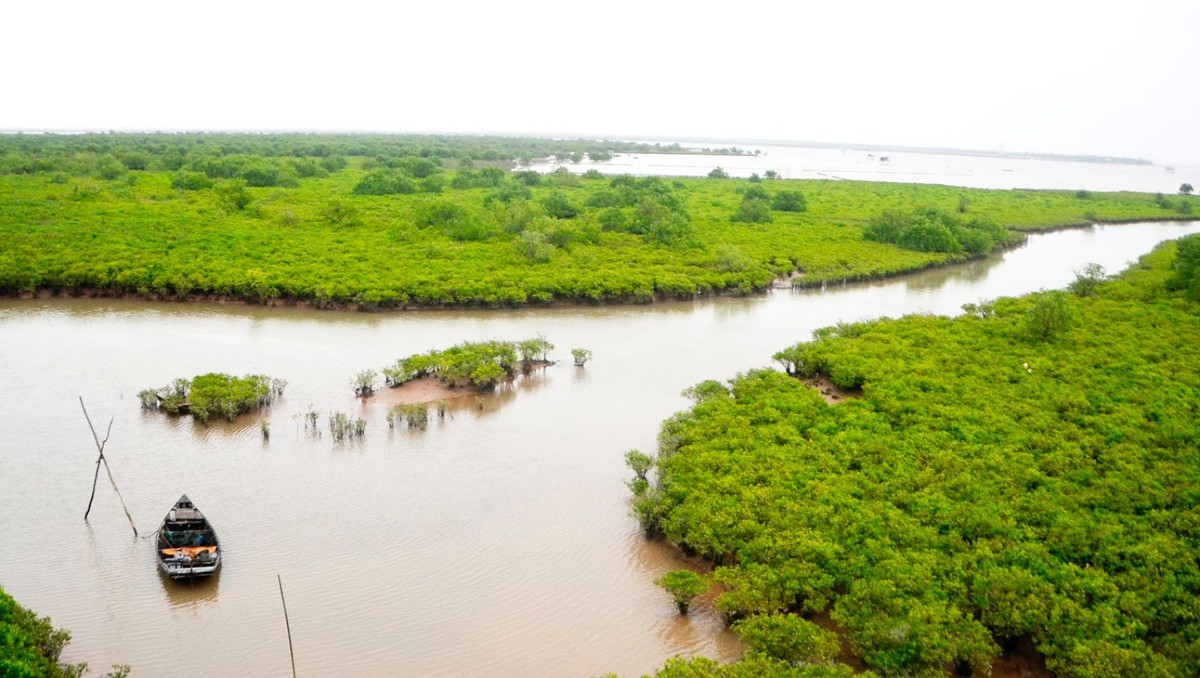 Theo thông tin giới thiệu điểm đến, Vườn quốc gia Xuân Thủy là vùng lõi có tầm quan trọng đặc biệt của Khu dự trữ sinh quyển châu thổ sông Hồng, hay còn gọi là Khu dự trữ sinh quyển đất ngập nước ven biển liên tỉnh châu thổ sông Hồng, thuộc địa giới 3 tỉnh Ninh Bình, Nam Định và Thái Bình. Nơi đây được UNESCO công nhận là khu dự trữ sinh quyển thế giới vào năm 2004. Ảnh: Daytripvietnam.