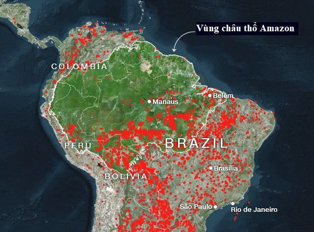 Chay rung Amazon tham khoc, Brazil doi pho the nao?-Hinh-2