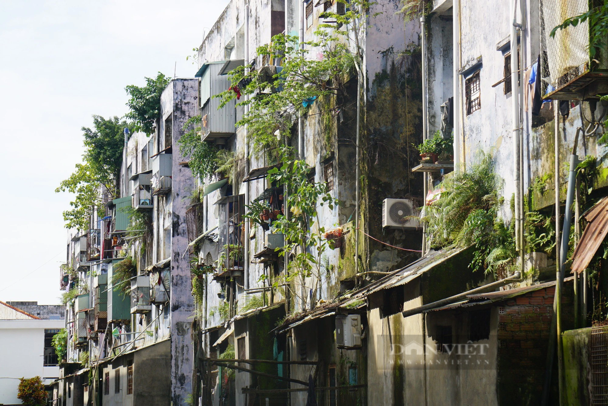 Tại kỳ họp thứ 15 HĐND TP.Đà Nẵng khóa X, diễn ra giữa tháng 12 vừa qua, ông Phùng Phú Phong, Giám đốc Sở Xây dựng Đà Nẵng, cho biết, qua kiểm tra, rà soát, xác định những chung cư này đã xuống cấp. Năm 2022, UBND TP chỉ đạo Sở Xây dựng kiểm tra, kiểm định lại 3 khối nhà chung cư và xác định xuống cấp ở cấp độ C. Sở đã đề xuất và thành phố thống nhất di dời người dân tại 3 khu chung cư, thời gian dự kiến trong năm 2024-2025