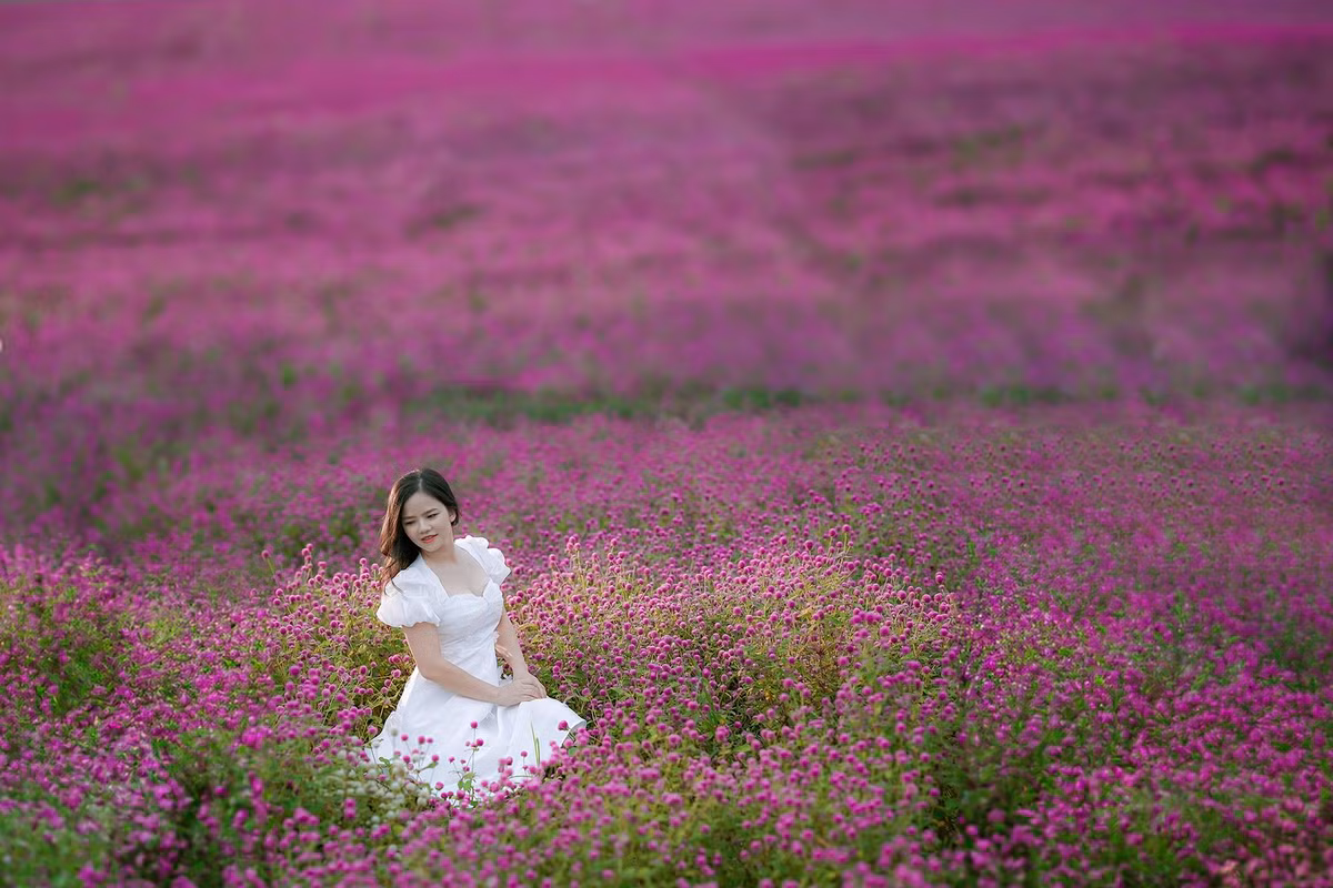 Khi biết khu vườn hoa bách nhật bắt đầu nở rộ, mở cửa đón khách bạn Anh Thơ (Tuyên Quang) đã chuẩn bị một trang phục phù hợp để có bộ ảnh "chào Đông" độc đáo. Anh Thơ chia sẻ: "Mình rất bất ngờ với cánh đồng rộng lớn ở đây, nó đẹp như trong tranh và khi lên hình với một trang phục phù hợp sẽ rất rất đẹp”.