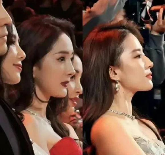 So với các ngôi sao khác, nhan sắc của Lưu Diệc Phi không chỉ phụ thuộc vào ngoại hình. Sự tu dưỡng bên trong và sự tự tin cũng là nguồn gốc vẻ đẹp của cô. Dù trước ống kính hay sau ống kính, Lưu Diệc Phi đều đối xử với công việc và cuộc sống của mình bằng một thái độ khiêm tốn và giản dị. Cô không ngừng thử thách bản thân và thể hiện một hình ảnh nghệ sĩ toàn diện.