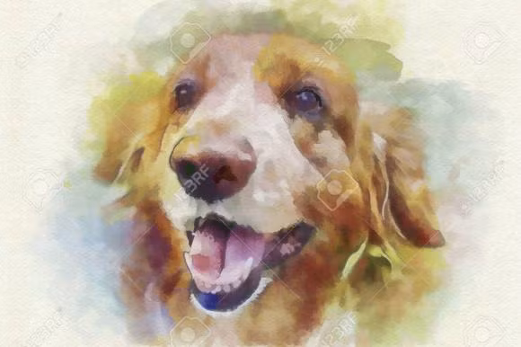 Top 3 con giap phat len, tien bac, tinh duyen, su nghiep deu ruc ro trong 100 ngay toi-Hinh-3