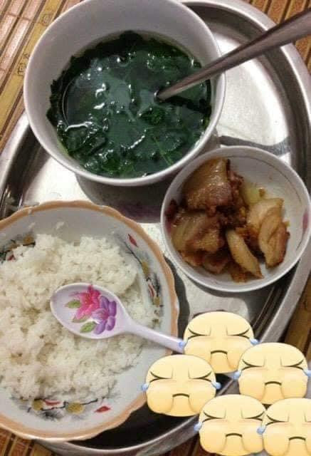 Dau tre than van me chong nau com cu ma nhu cho meo an-Hinh-4