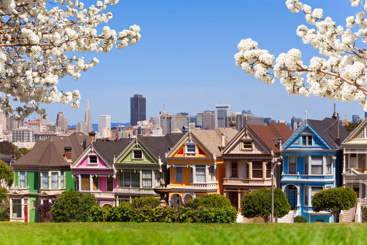  Steiner, San Francisco, California: Những ngôi nhà theo kiến trúc thời Victoria có tông màu từ xanh dương, xanh nõn chuối đến cam, hồng phớt, lộng lẫy đến mức con phố Steiner được gọi là "dãy bưu thiếp". Cùng với tầm nhìn hướng ra thành phố và một công viên xanh màu cỏ ở phía đối diện, Steiner hiện lên như một bức tranh vẽ hoàn hảo. Ảnh: Sergey Novikov.