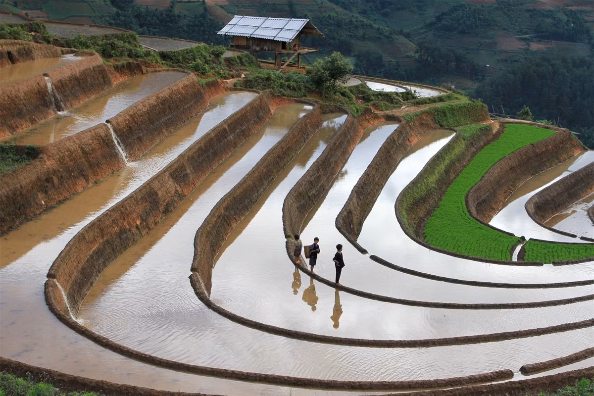 Nổi tiếng nhất ở Mù Cang Chải là ruộng bậc thang trên địa bàn ba xã La Pán Tẩn, Chế Cu Nha và Zế Xu Phình. 