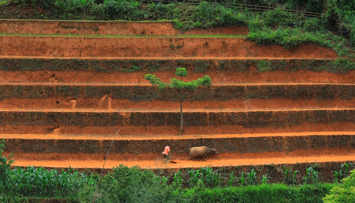 Mù Cang Chải cuốn hút bao người bởi vẻ đẹp hoang sơ miền sơn cước.