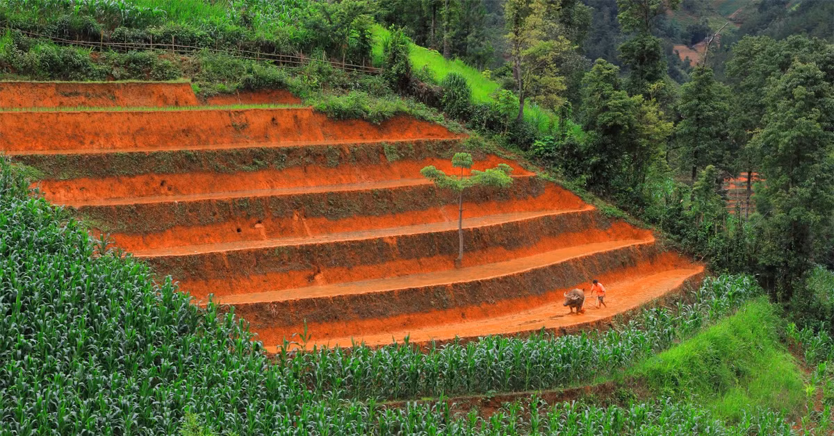 Cho đến nay, đồng bào nơi đây vẫn còn gìn giữ và bảo tồn các tập tục, các nghi thức, tín ngưỡng trong việc khai khẩn và canh tác ruộng bậc thang.