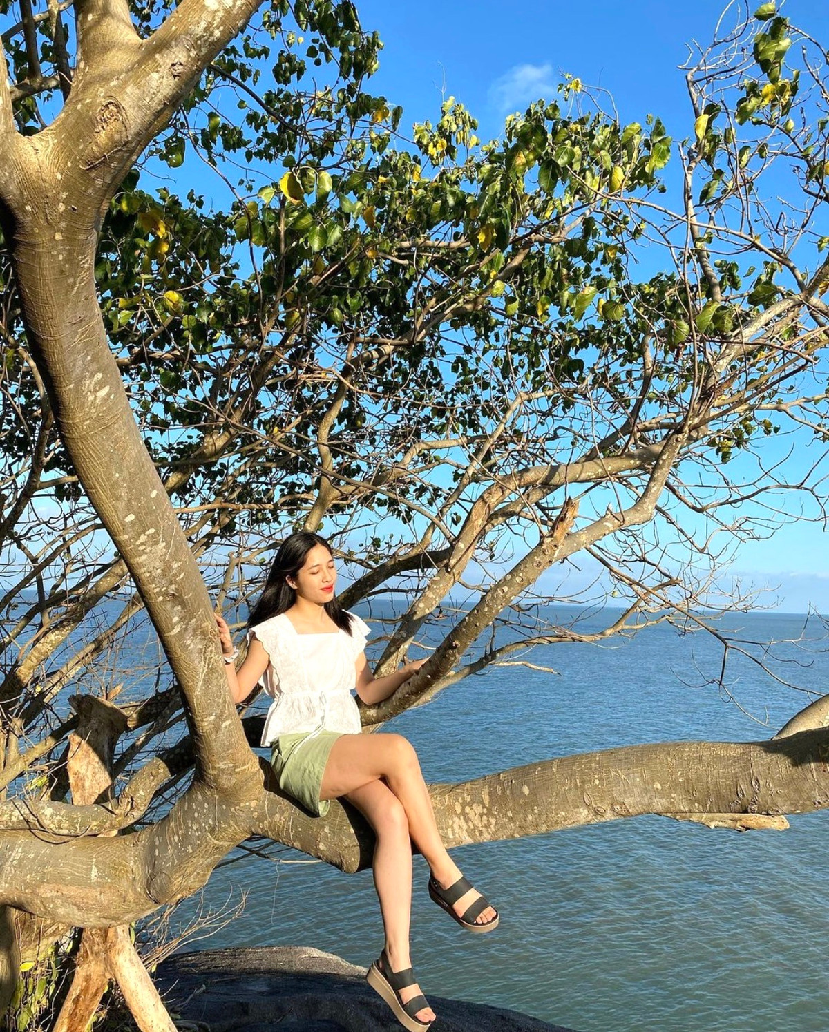 Hòn Tre cách trung tâm thành phố Rạch Giá (Kiên Giang) khoảng 30 km về phía tây. Trên đảo có ngọn núi cao phía nam và ngọn thấp phía bắc. Hai ngọn núi này tạo cho đảo có hình dáng giống như một con rùa nổi giữa biển nên người dân còn gọi khu vực này là đảo Rùa. Bạn còn có thể bắt gặp những hòn đảo khác trùng tên gọi ở Quảng Ninh, Khánh Hòa...