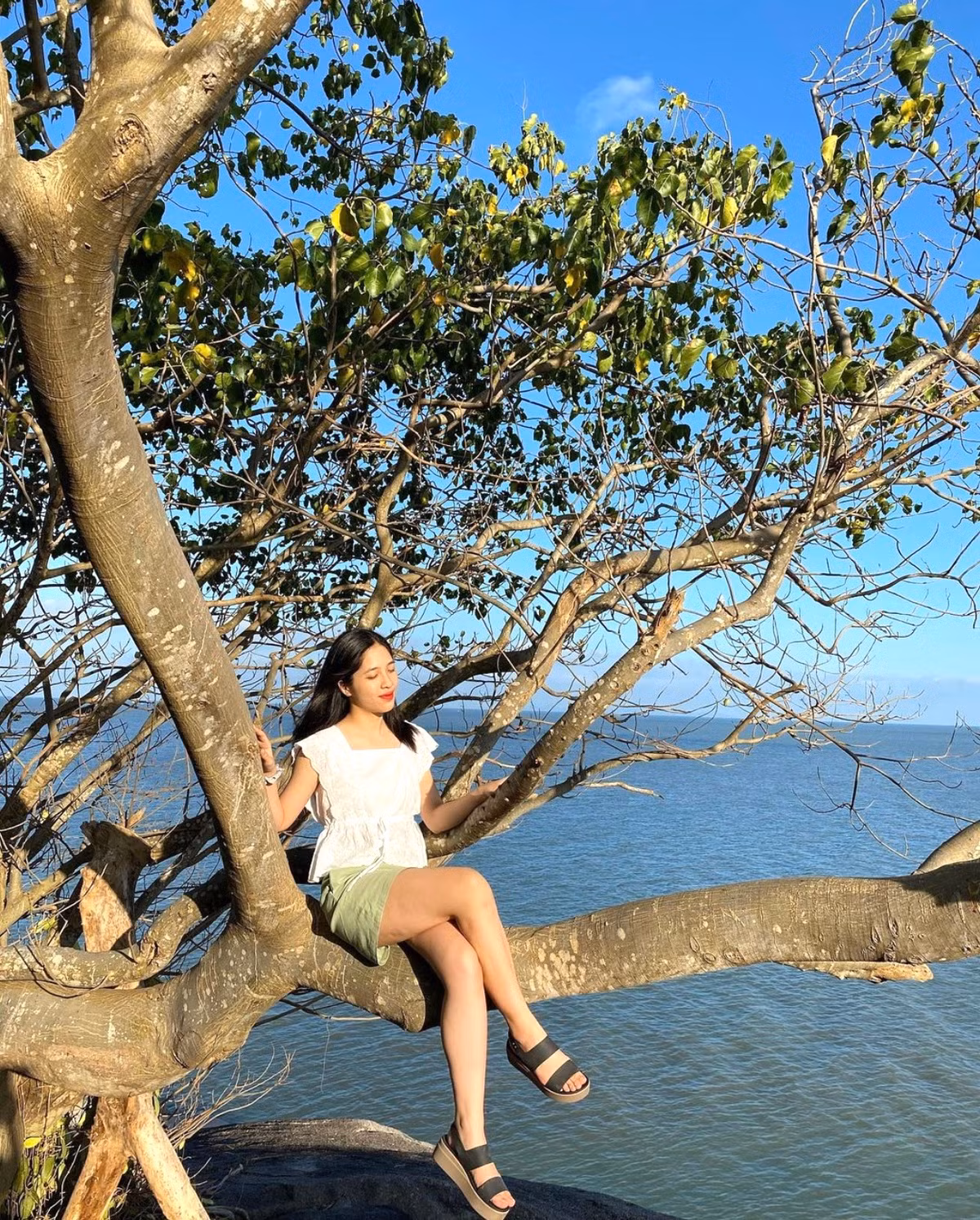 Hòn Tre cách trung tâm thành phố Rạch Giá (Kiên Giang) khoảng 30 km về phía tây. Trên đảo có ngọn núi cao phía nam và ngọn thấp phía bắc. Hai ngọn núi này tạo cho đảo có hình dáng giống như một con rùa nổi giữa biển nên người dân còn gọi khu vực này là đảo Rùa. Bạn còn có thể bắt gặp những hòn đảo khác trùng tên gọi ở Quảng Ninh, Khánh Hòa...